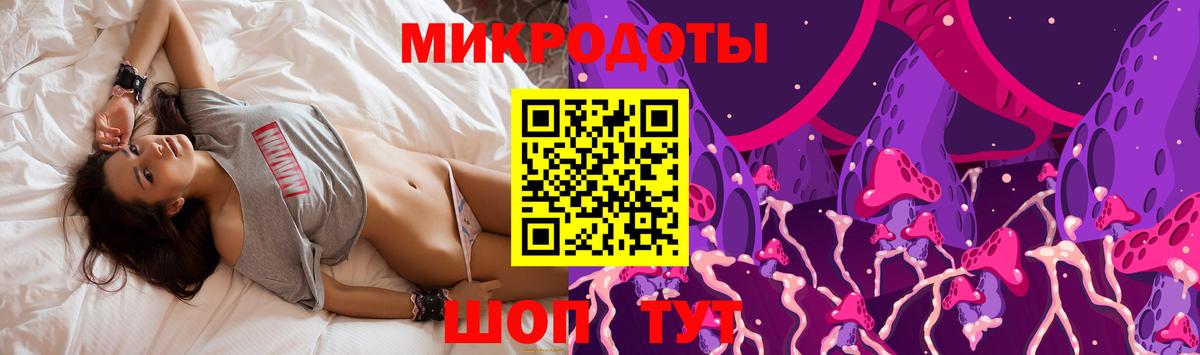 Псилоцибиновые грибы мухоморы Гатчина